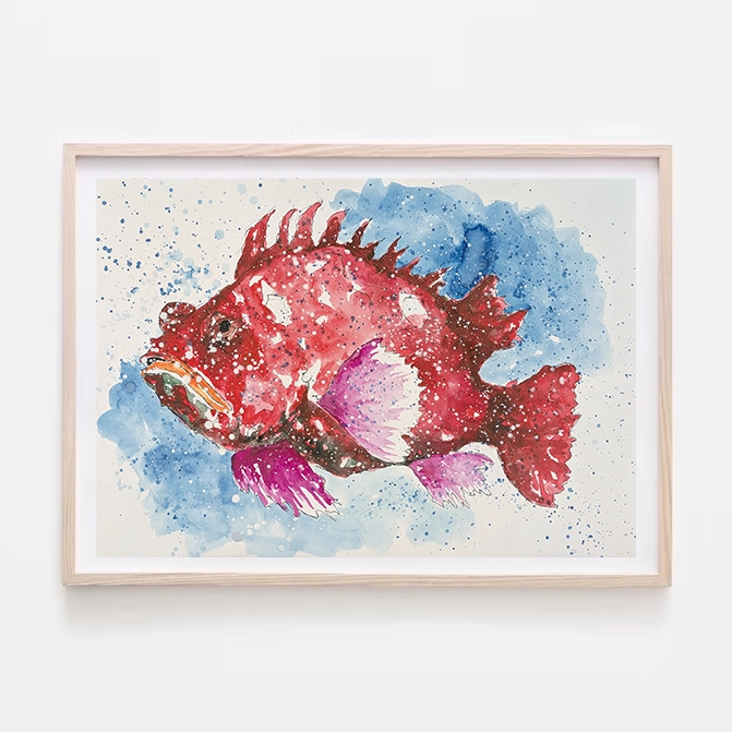 Pez cabracho en tonalidades rojas sobre un fondo azul acuarela con efecto de salpicaduras de pintura.