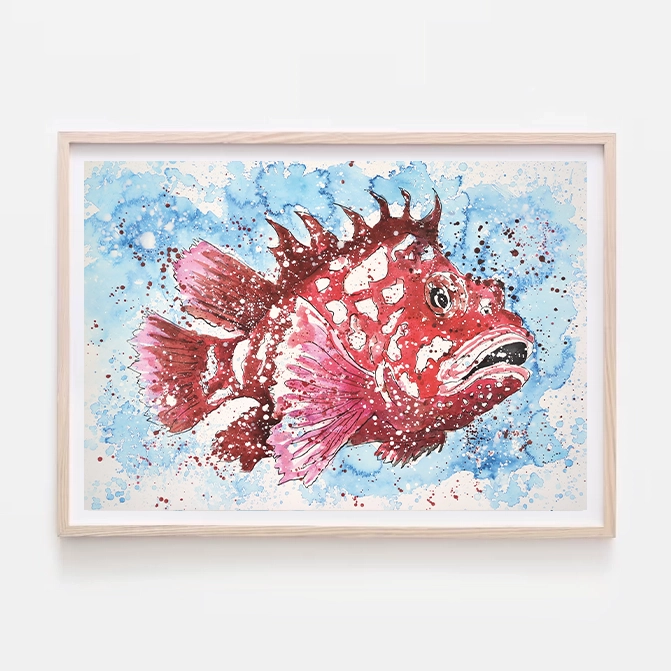 Pez cabracho en tonalidades rojas sobre un fondo azul acuarela con efecto de salpicaduras de pintura.