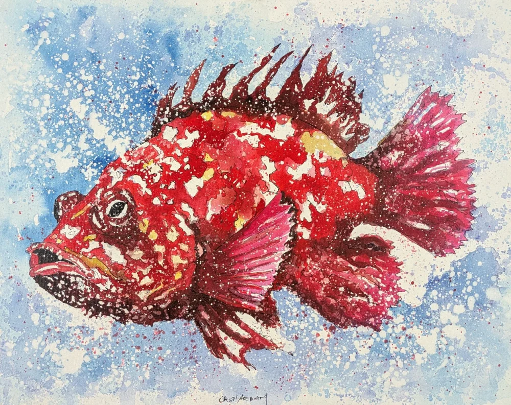 Pintura de un pez rojo con fondo azul salpicado.